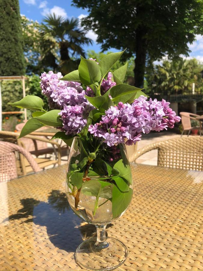 Maison Du Midi Bed & Breakfast Lorgues Luaran gambar